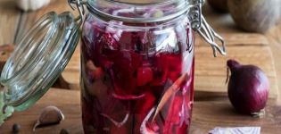 20 best step-by-step recipes for making beetroot blanks for the winter