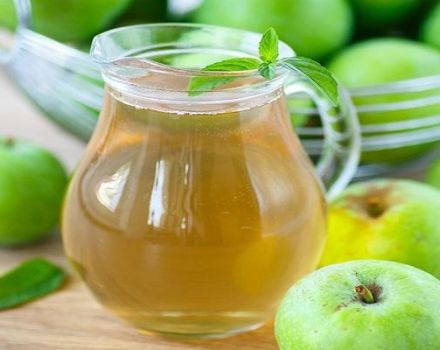 Receta paso a paso para hacer compota de manzana sin azúcar para el invierno