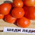 Caractéristiques et description de la variété de tomate Shedi lady, son rendement