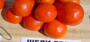 Characteristics and description of the Shedi lady tomato variety, its yield