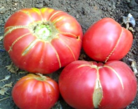 Características y descripción de la variedad de tomate Regalo de la abuela, su rendimiento.