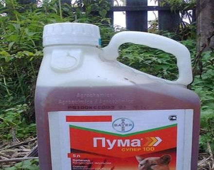 Instructions for the use of herbicide Puma Super 100 and consumption rates of the drug