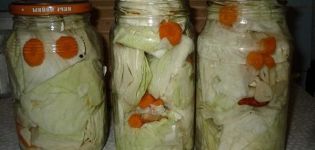 TOP 15 recipes for preparing blanks from white cabbage for the winter