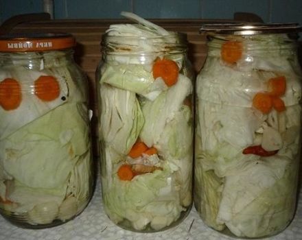 TOP 15 recipes for preparing blanks from white cabbage for the winter