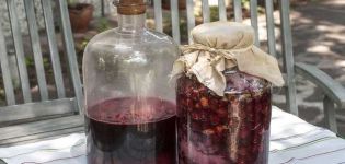 TOP 7 simple recipes for making wine from jam at home