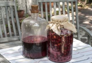 TOP 7 simple recipes for making wine from jam at home