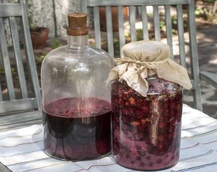 TOP 7 simple recipes for making wine from jam at home