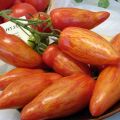 Characteristics and description of the tomato variety Moscow delicacy, its yield