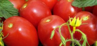 Apa yang menentukan dan tidak tentu jenis tomato, yang lebih baik