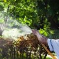 Descripción de los 24 mejores fungicidas para el jardín, mecanismo de acción e instrucciones de uso.