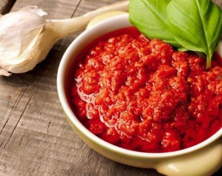 TOP 8 recetas para preparar adjika de tomate y ajo sin cocinar para el invierno