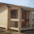 Step-by-step instructions for building a winter chicken coop with your own hands