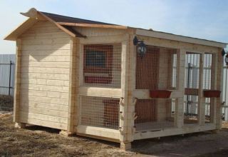 Step-by-step instructions for building a winter chicken coop with your own hands