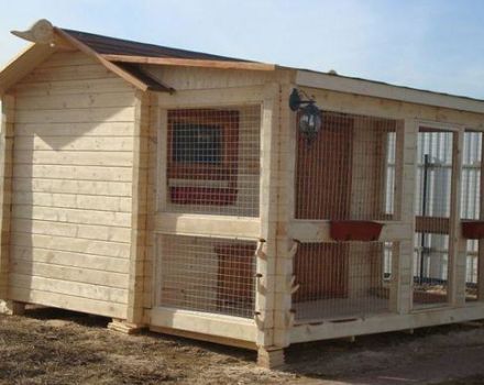 Step-by-step instructions for building a winter chicken coop with your own hands