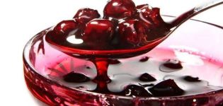 8 delicious recipes for pitted cherry jam Five minutes for the winter