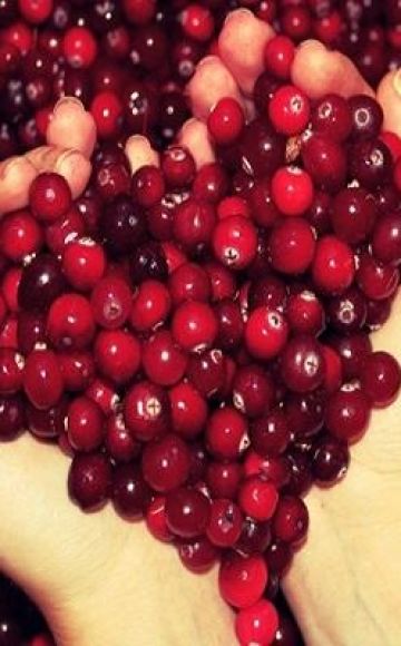 TOP 3 recipes for frozen lingonberries for the winter at home