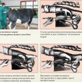 Descripción del método visocervical de inseminación de vacas, instrumentos y esquema.