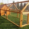 How to build a chicken coop for 20 chickens with your own hands, dimensions and drawings