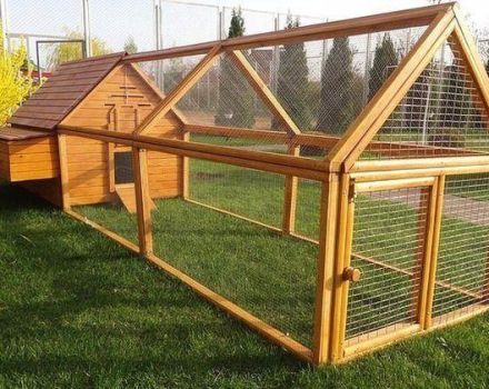 Cómo construir un gallinero para 20 pollos con tus propias manos, dimensiones y dibujos.