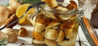 Recetas simples para salar hongos porcini para el invierno en casa.