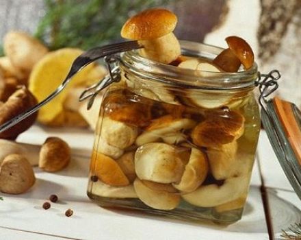 Recetas simples para salar hongos porcini para el invierno en casa.