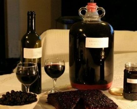 11 simple recipes for making wine from irgi at home