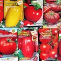 The best varieties of Dutch tomato seeds for greenhouses and open field