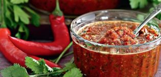 Las mejores recetas tradicionales abjasias de adjika picante para el invierno