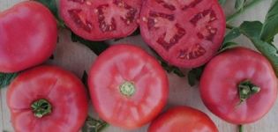 Characteristics and description of the pink bush f1 tomato variety, its yield