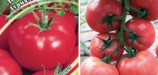 Descripción de la variedad de tomate Turmalina, sus características y rendimiento.