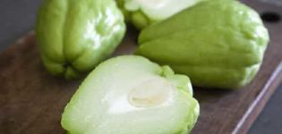 Descripción de la variedad de pepino mexicano, características de cultivo y rendimiento.