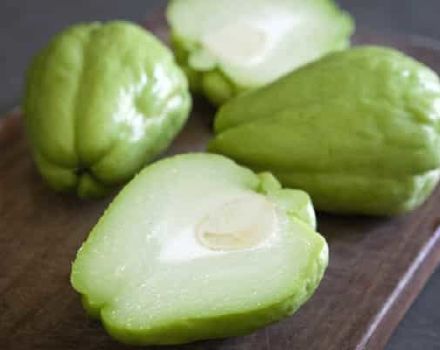 Descripción de la variedad de pepino mexicano, características de cultivo y rendimiento.