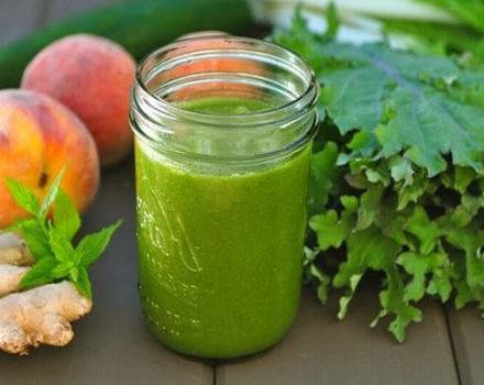 5 mejores recetas para hacer jugo de pepino en casa