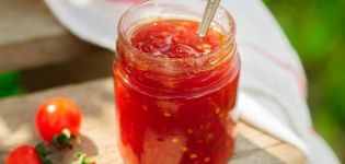 TOP 13 des recettes pour cuisiner les assaisonnements de tomates pour l'hiver