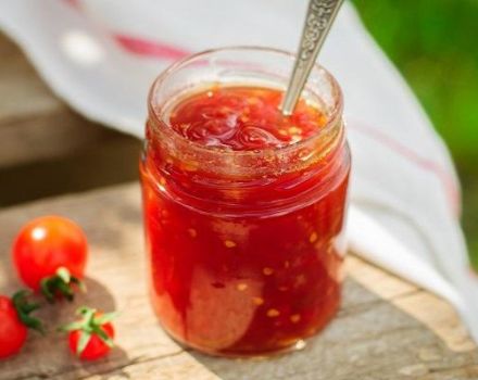 TOP 13 recipes for cooking tomato seasonings for the winter