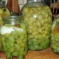 17 best recipes for grape harvesting for the winter at home