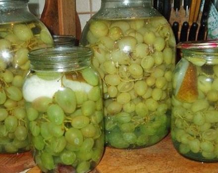 17 best recipes for grape harvesting for the winter at home