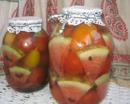 6 best recipes for cooking tomatoes with watermelon for the winter without sterilization