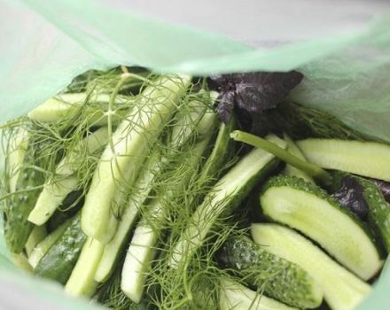 Recipe for step-by-step cooking of shaker cucumbers