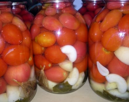 Recipes for pickling tomatoes with apple cider vinegar for the winter