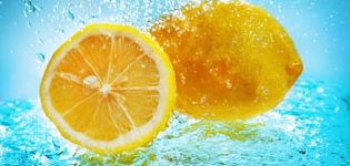 Why lemon is useful and harmful for the human body, properties and contraindications