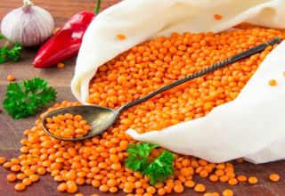 Useful properties and harm of lentils for human health