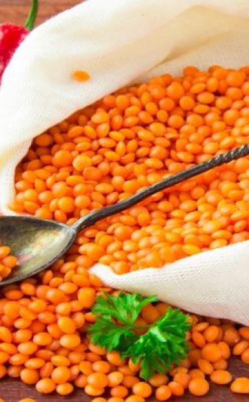 Sifat berguna dan bahaya lentil untuk kesihatan manusia