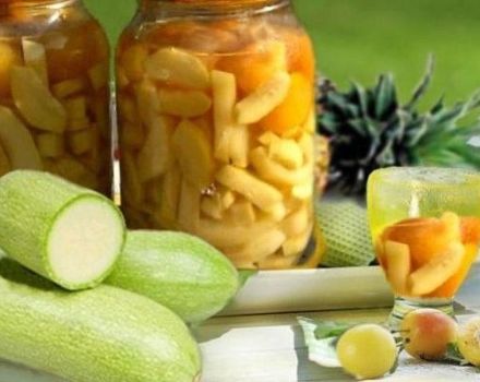 The best recipes for marinating zucchini with citric acid for the winter