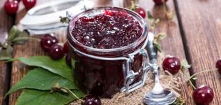 TOP 8 des recettes pour faire de la confiture de cerises avec des graines pour l'hiver