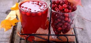 6 recetas sencillas para hacer vino de arándano rojo en casa