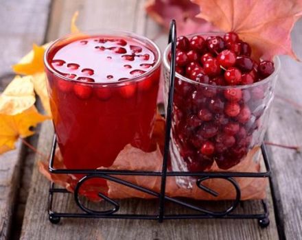 6 simple recipes for making lingonberry wine at home