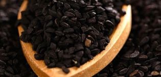 How to grow black onions from seeds and when to remove them from the garden