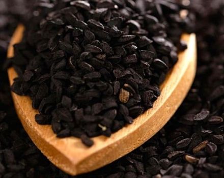 How to grow black onions from seeds and when to remove them from the garden