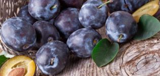 Pourquoi les prunes ont-elles des vers dans leurs fruits et comment les transformer